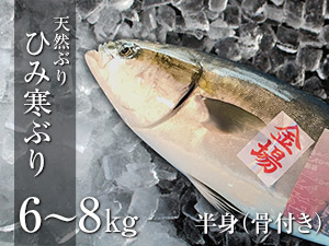 ひみ寒ぶり　6～8kg　半身（骨付き）