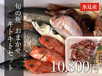 10,000円（税込10,800円）